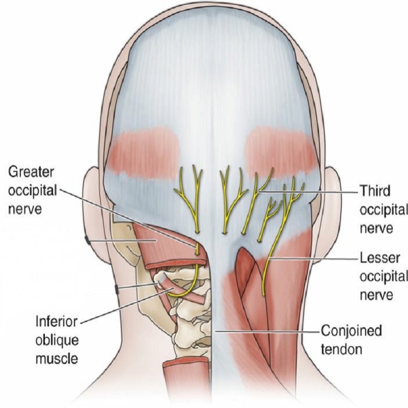 dentist-doctor-arzt-english-british-speaking-calpe-deutschprachiger-altea-zahnarzt-benissa-blanca-albir-notfall-villajoyosa-moraira-covid-pcr-menopause-hormone-arnold-infiltration.jpg