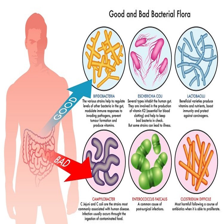 dentist-doctor-arzt-english-british-speaking-calpe-deutschprachiger-altea-zahnarzt-benissa-costa-blanca-albir-notfall-moraira-covid-vithas-pcr-hormone-oral-internist-19-dysbiosis-bacteria-colon.jpg